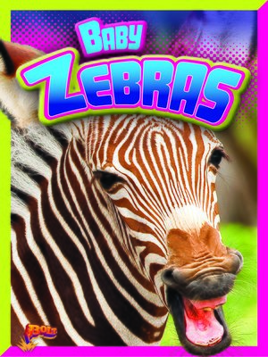 cover image of Baby Zebras